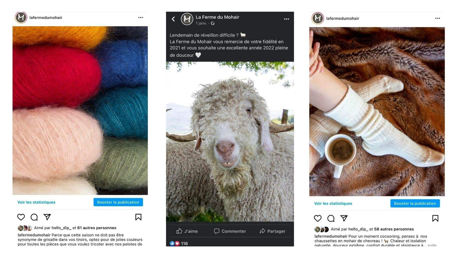 network reach visibility la ferme du mohair gestion reseaux sociaux creation de posts 3