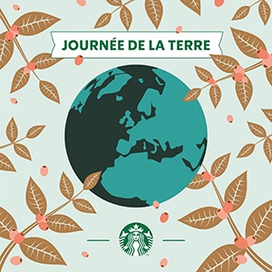 network reach visibility identite et creation graphisme web starbucks journee de la terre carousel instagram