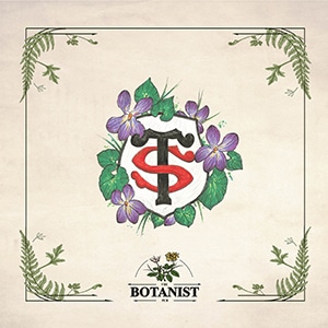 network reach visibility identite et creation graphisme web the botanist stade toulousain post instagram