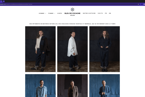 agence network reach visibility site internet bleu de cocagne