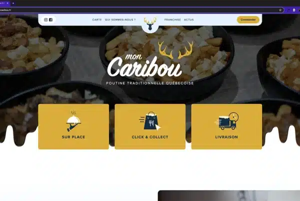 network reach visibility création site internet toulouse mon caribou