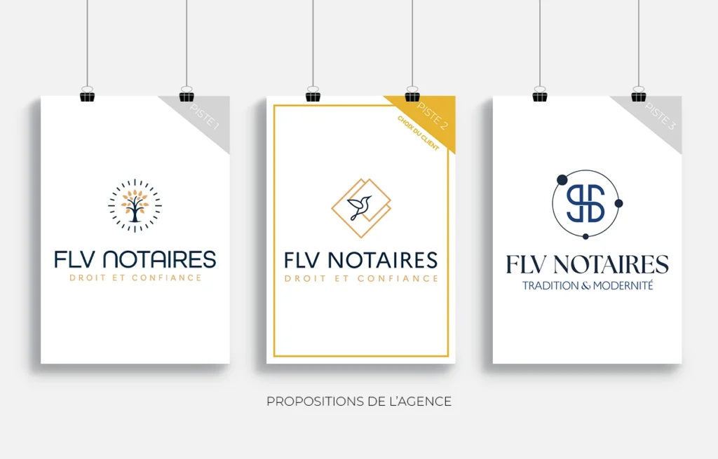 network reach visibility charte graphique02 FLV