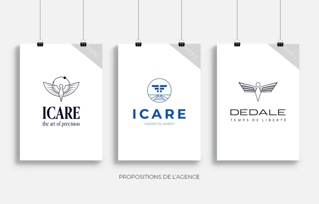 network reach visibility charte graphique03 Icare