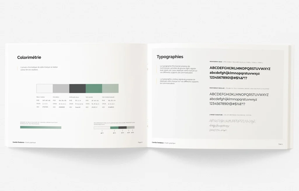 network reach visibility charte graphique04 CAMILLE TENDANCE